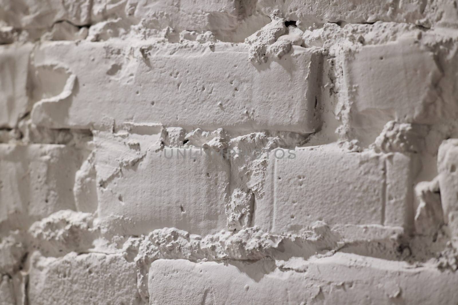 The intricate details of a rustic white brick wall beautifully highlight the unique texture and character present