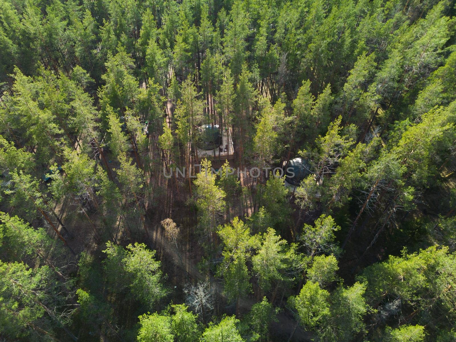 An absolutely stunning and captivating aerial perspective showcasing a dense green forest interspersed with clearings