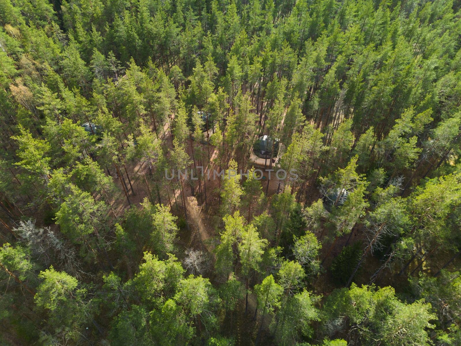 An enthralling aerial photograph that beautifully captures a vast green forest that hints at subtle human presence