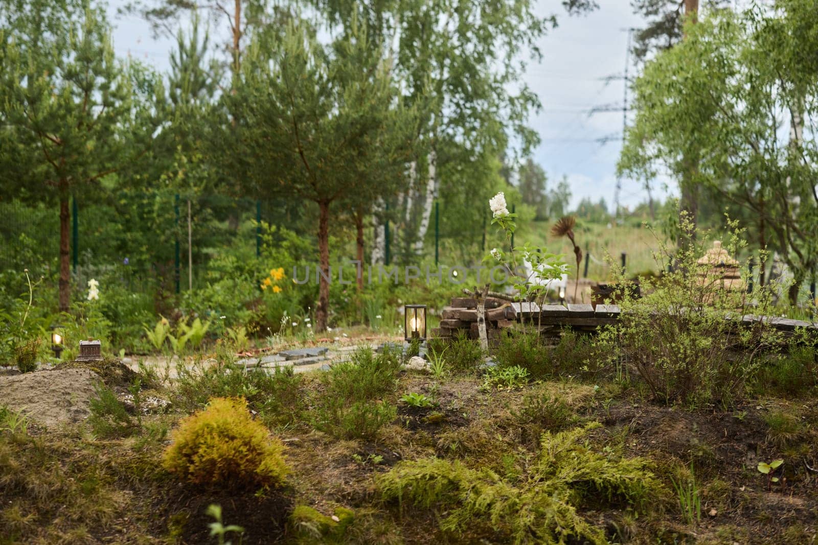 A tranquil garden scene that beautifully showcases vibrant greenery and colorful wildflowers in a natural setting