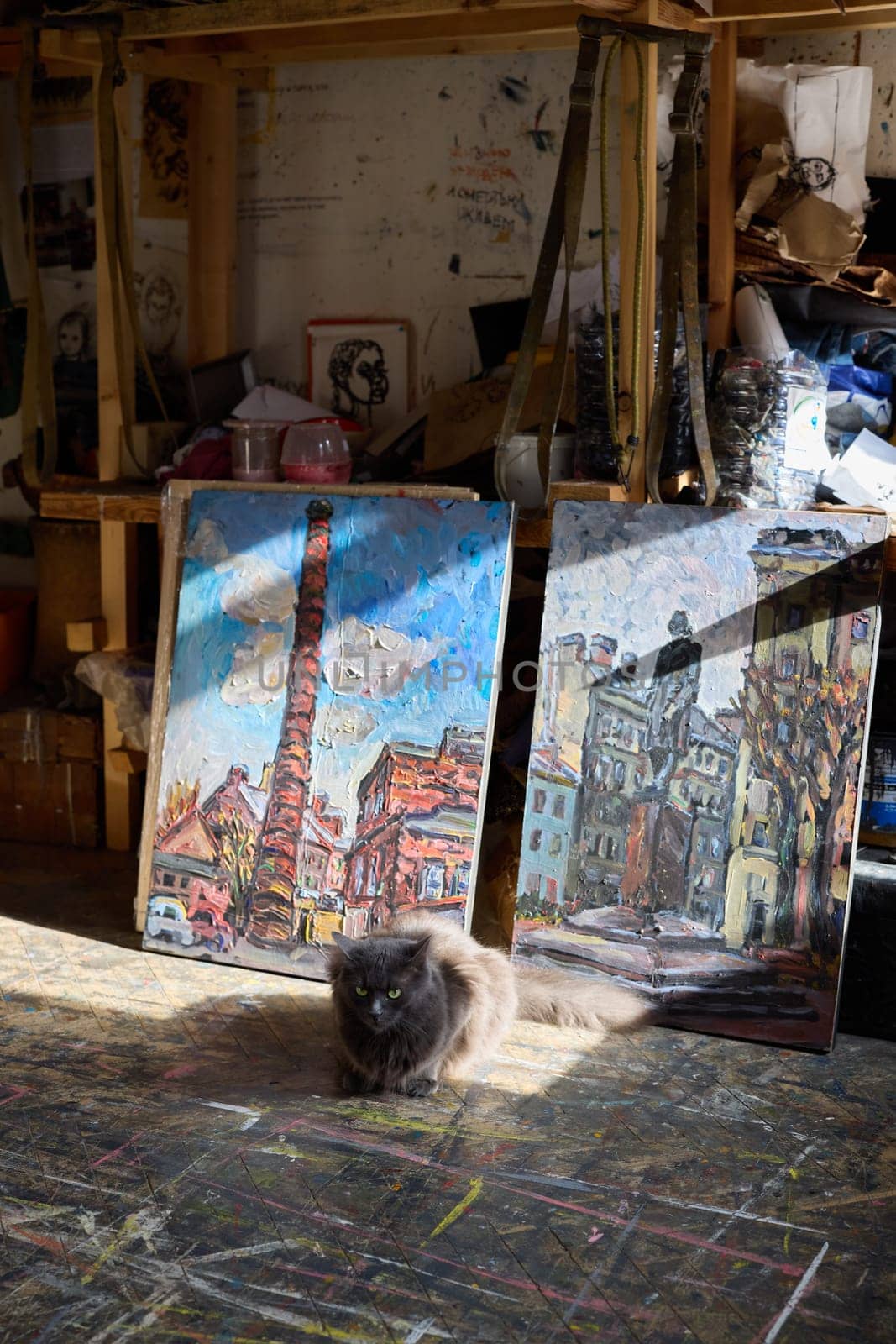 A cozy little art studio showcasing two vibrant, colorful paintings and a cute cat basking in warm sunlight