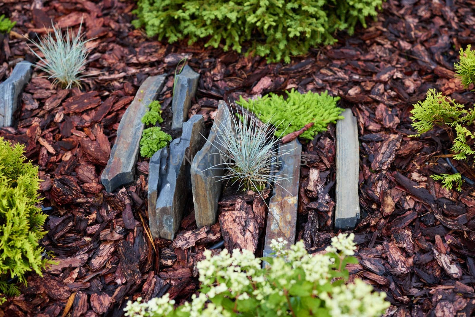 A picturesque and serene garden scene featuring smooth stones and lush greenery enveloped by rich mulch