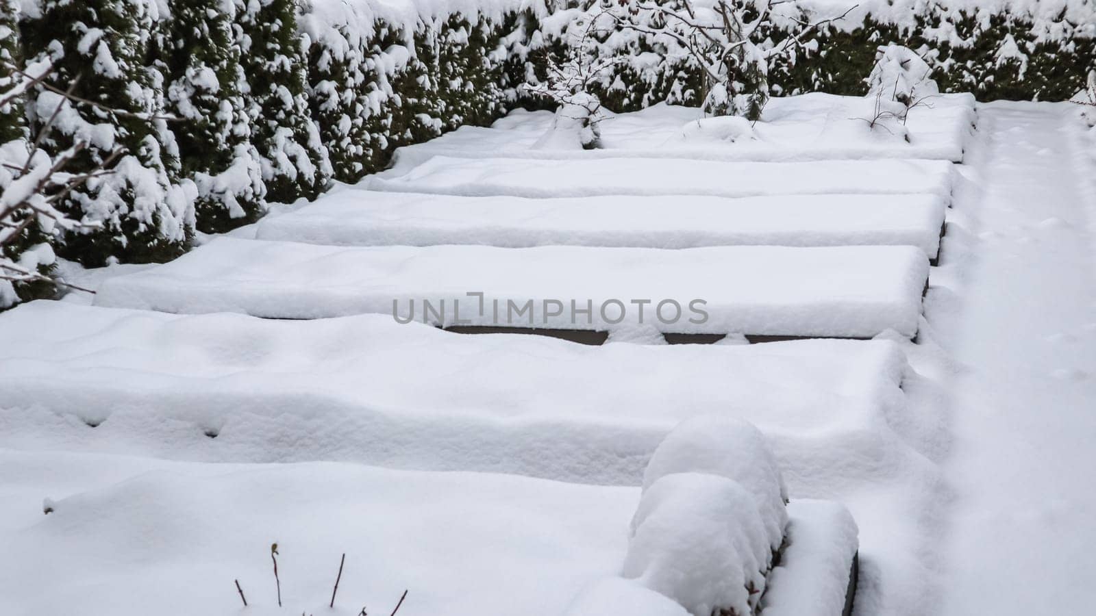 Winter vegetable garden with raised beds covered with snow. High quality photo
