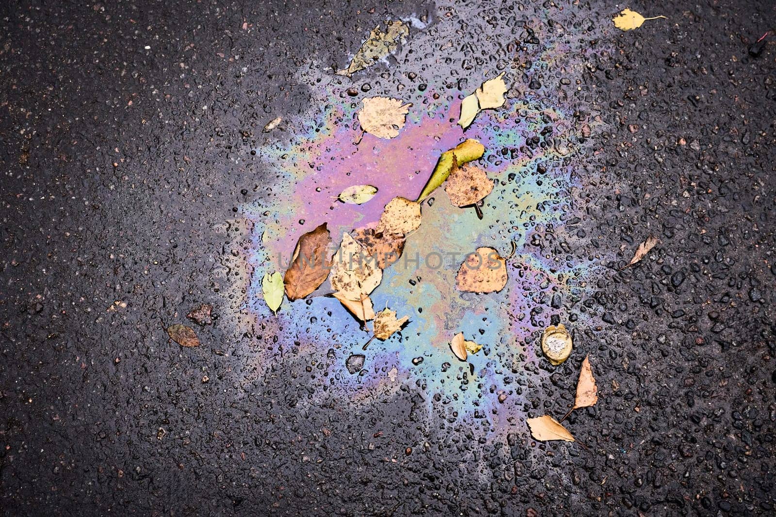 Rainbow oil stain on wet asphalt covered with fallen leaves.