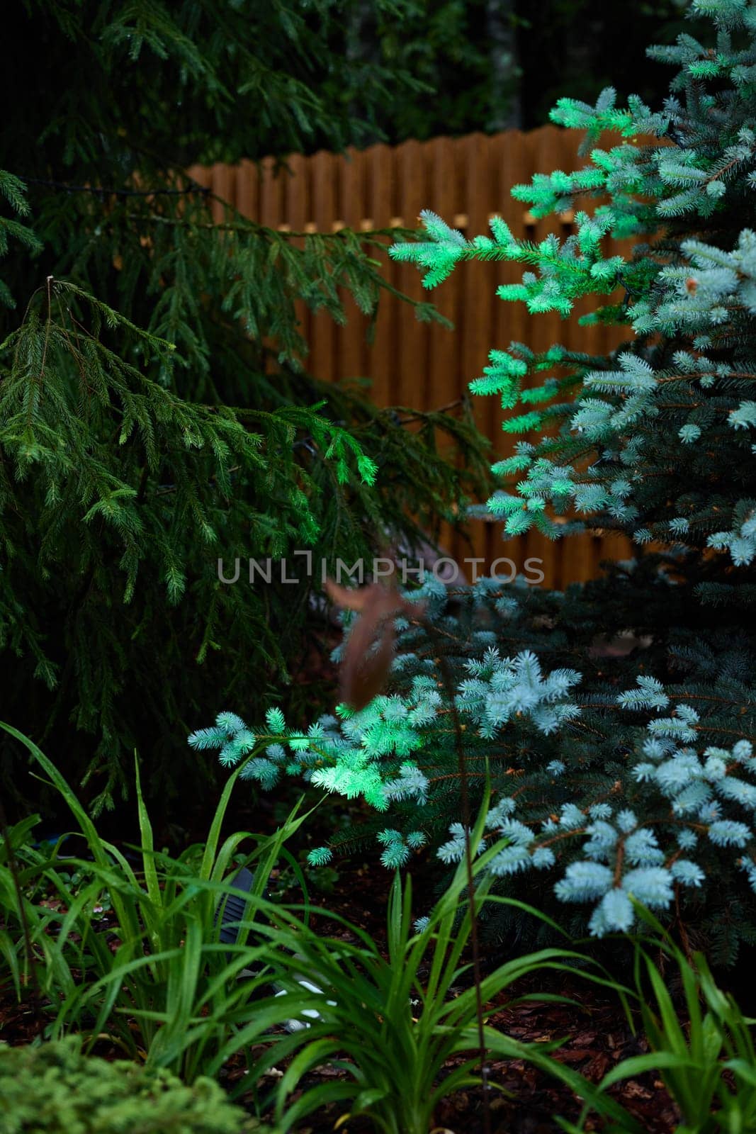 A tranquil garden with vibrant plants and soft lighting, perfect for nature lovers seeking peace and relaxation