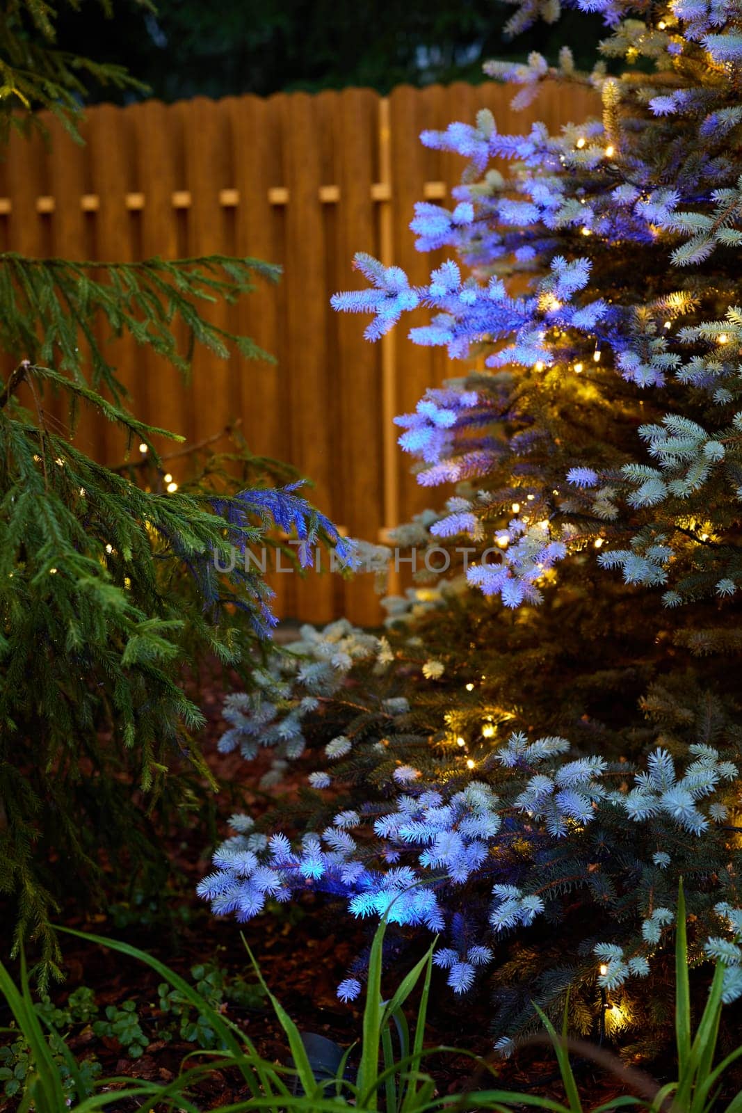 A serene garden view with elegant blue lights illuminating lush foliage and a wooden fence backdrop