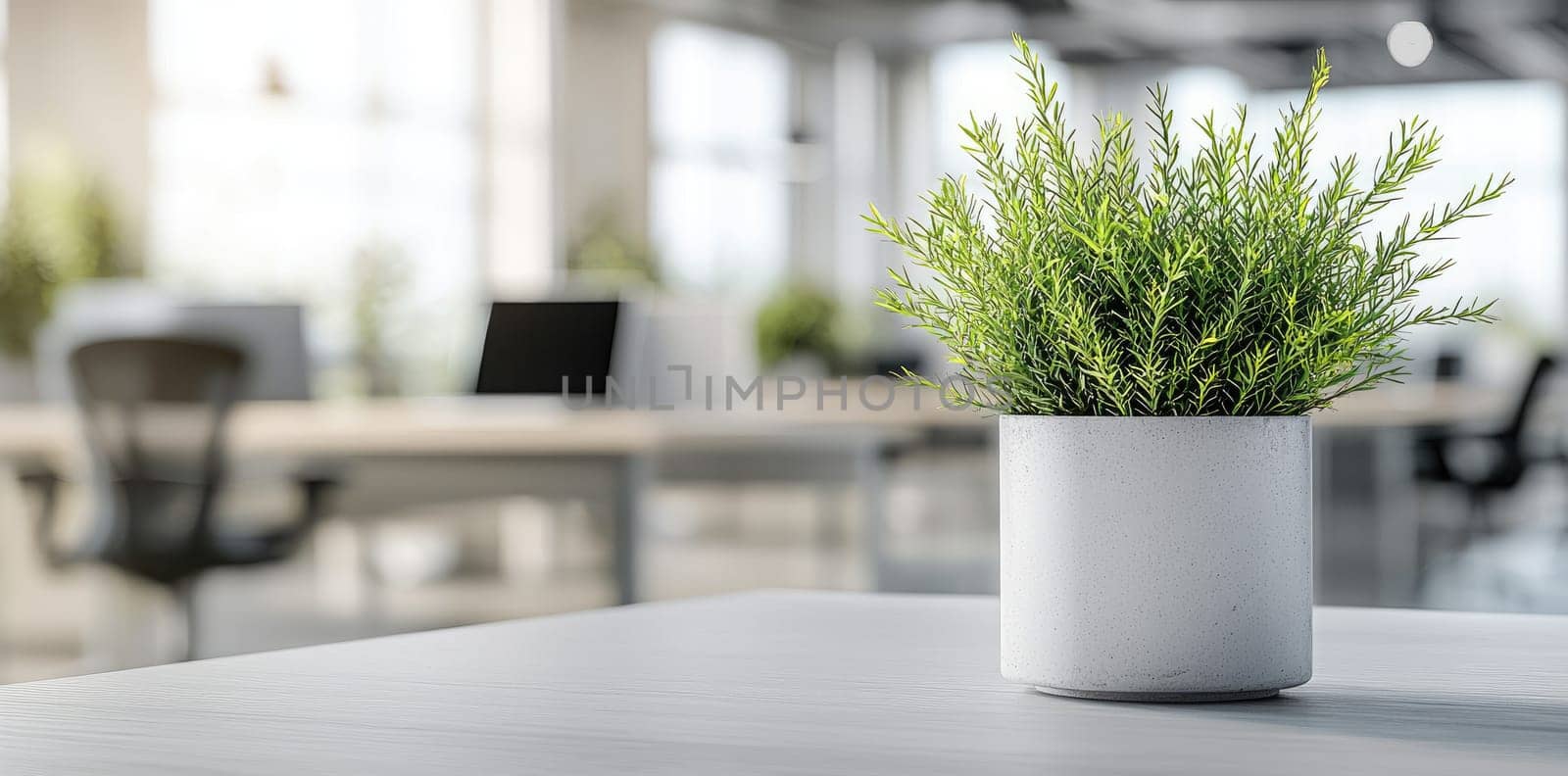 Cosy office: spacious layout, bright lighting, green accents, calming atmosphere, blank text space, modern decor, tranquil environment, natural elements, creative workspace, minimalist design