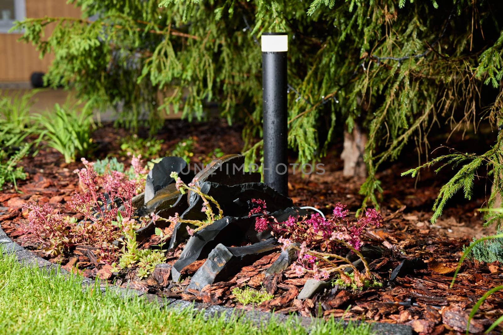 An elegantly designed garden setup that showcases vibrant plants along with a distinctive black decorative feature