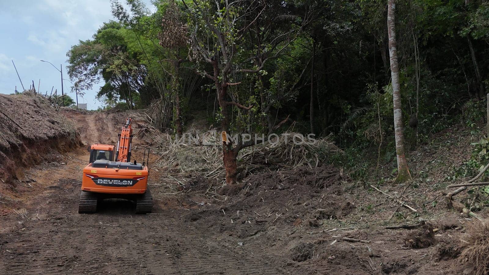 salvador, bahia, brazil - december 3, 2024: deforestation area of ​​an Atlantic Forest requires construction of a light rail vehicle in the city of Salvador.