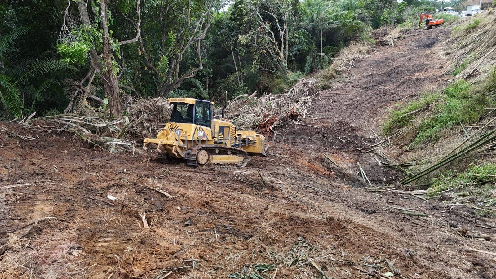 salvador, bahia, brazil - december 3, 2024: deforestation area of ​​an Atlantic Forest requires construction of a light rail vehicle in the city of Salvador.