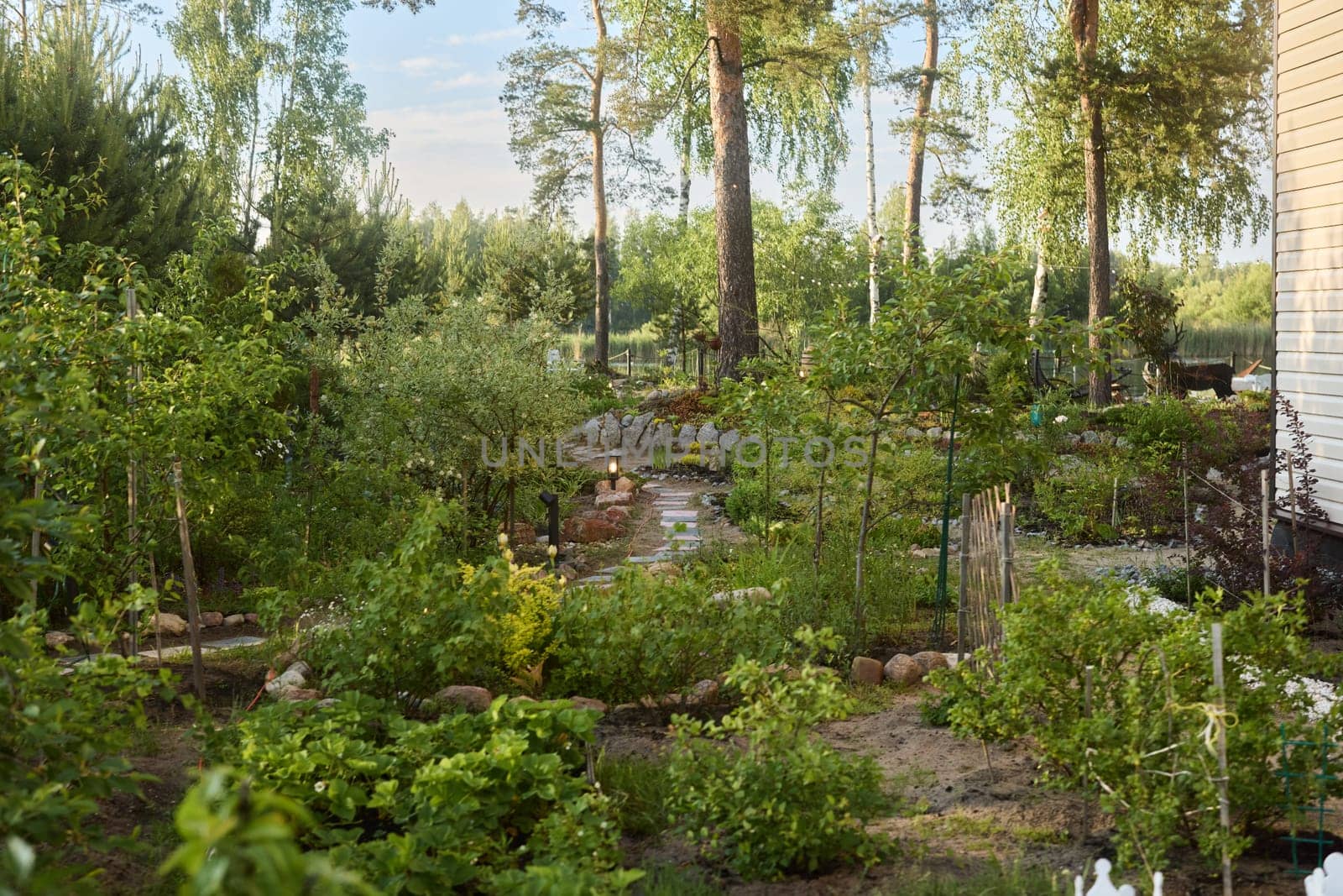 A serene garden scene with diverse plants and trees basking in warm morning sunlight that enhances their colors