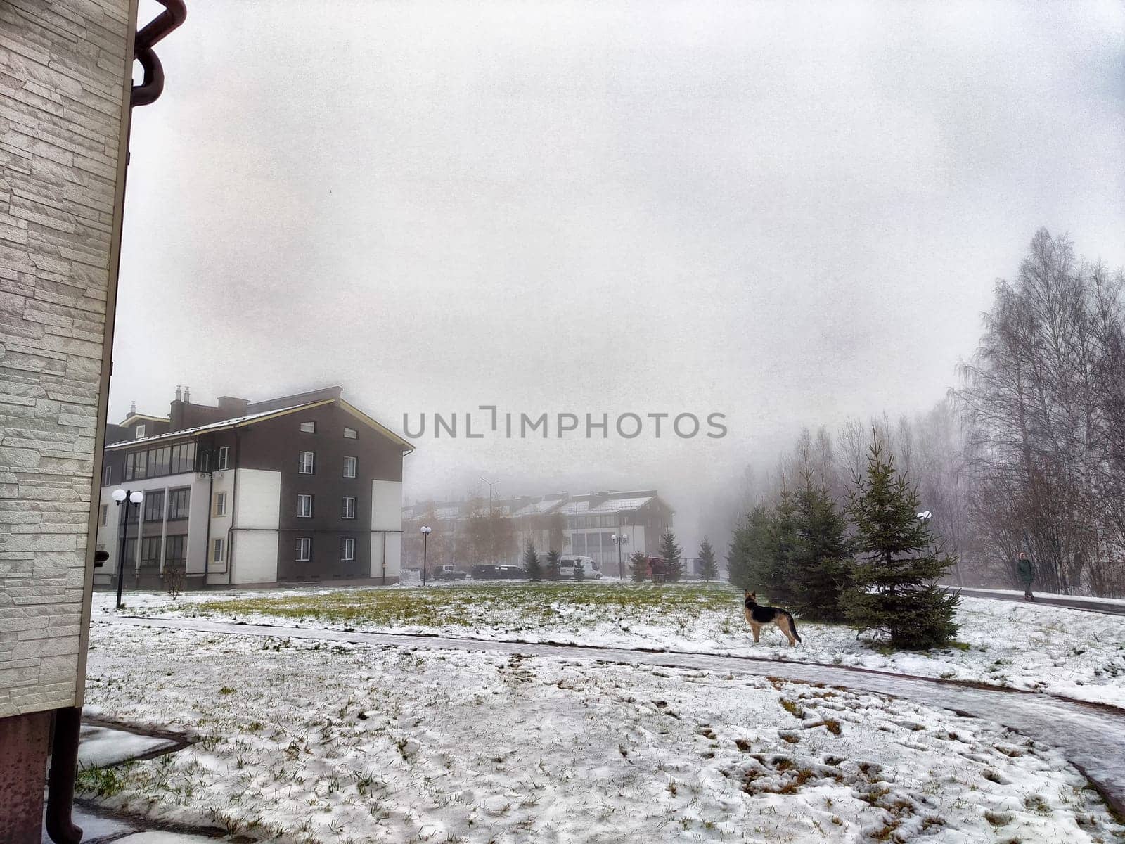 The landscape features a snowy ground with buildings partially obscured by thick fog on a chilly winter morning.