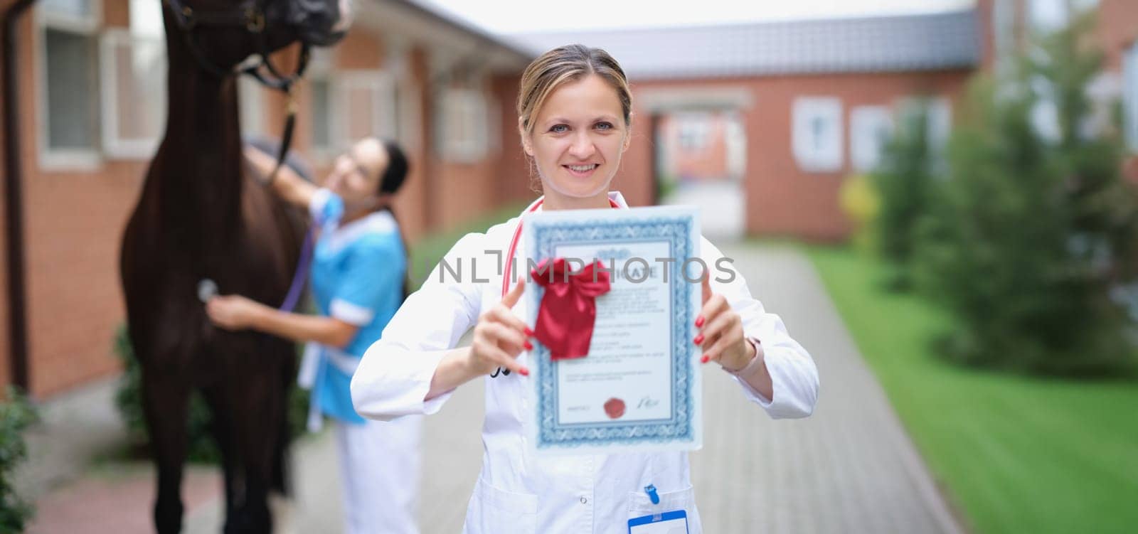 Veterinarian shows the certificate of the horse, close-up, blurry. Expert opinion of a veterinarian. Horse breeding, sports