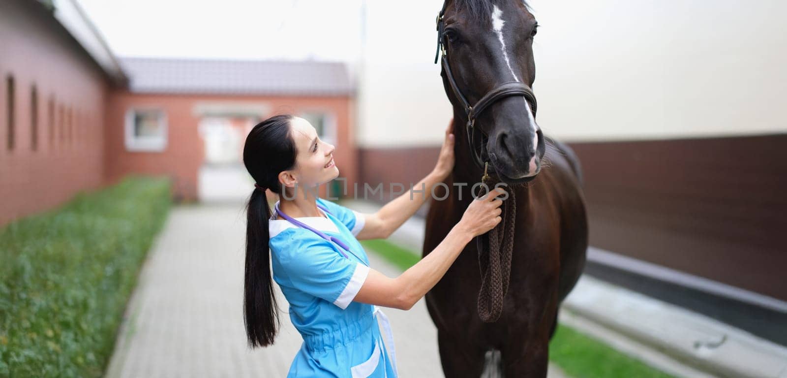 Woman veterinarian looks at the horse, close-up, blurry. Initial visual examination of the horse. Vet clinic