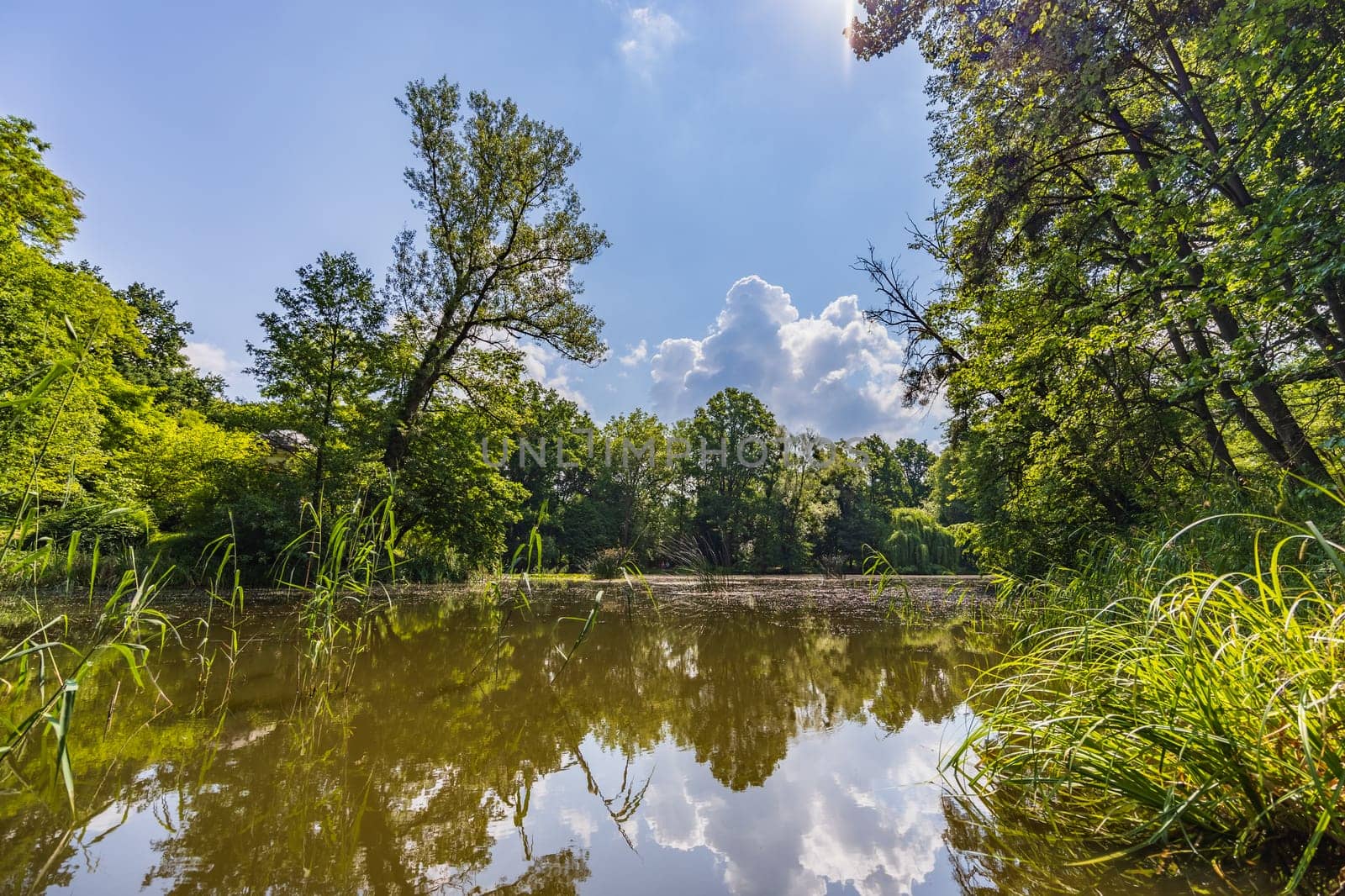 Beautiful and colorful park at sunny morning with blue sky with few clouds beautifully reflecting in big silent lake like in mirror