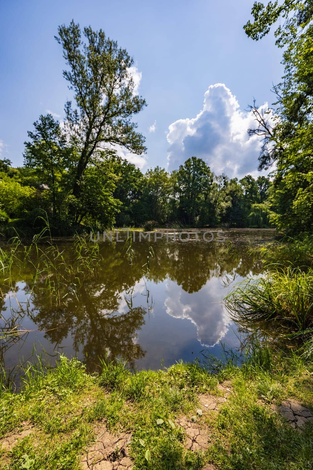 Beautiful and colorful park at sunny morning with blue sky with few clouds beautifully reflecting in big silent lake like in mirror by Wierzchu