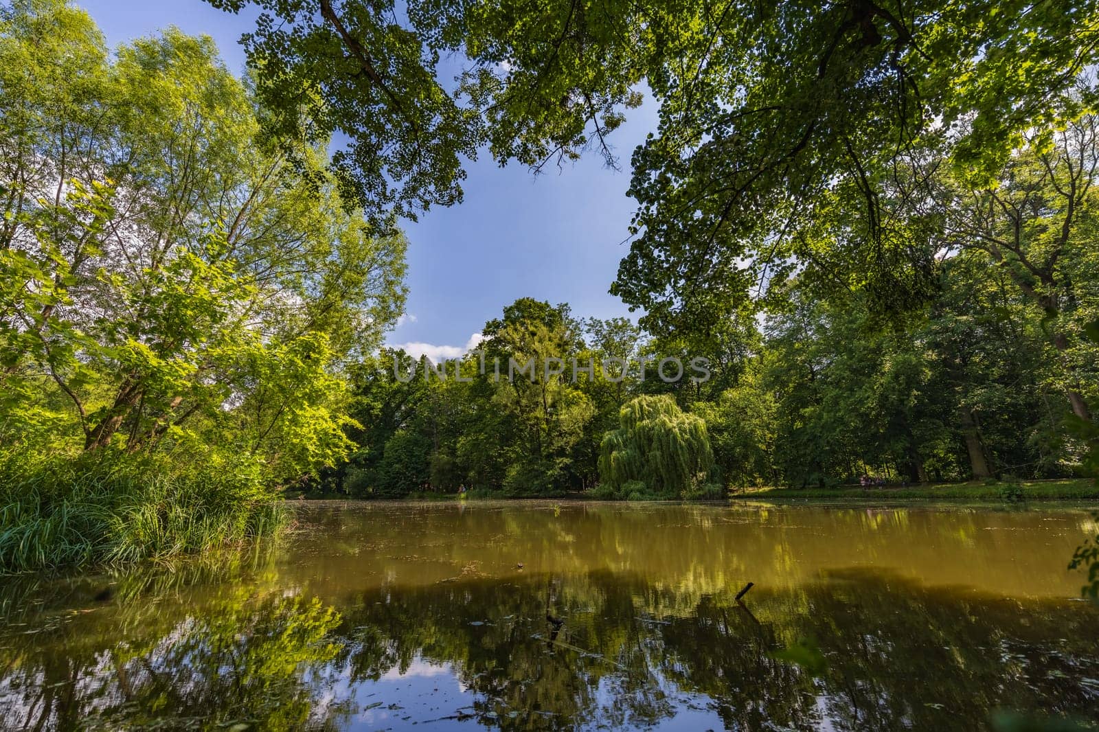 Beautiful and colorful park at sunny morning with blue sky with few clouds beautifully reflecting in big silent lake like in mirror