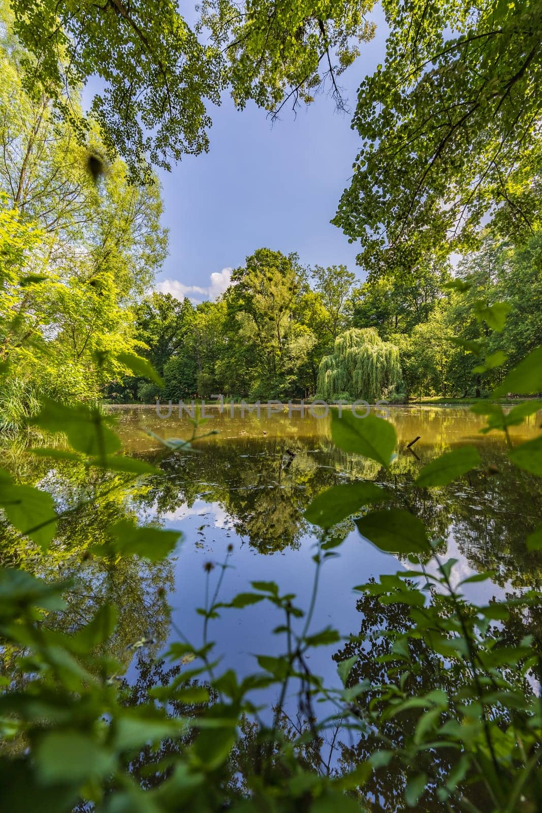 Beautiful and colorful park at sunny morning with blue sky with few clouds beautifully reflecting in big silent lake like in mirror by Wierzchu