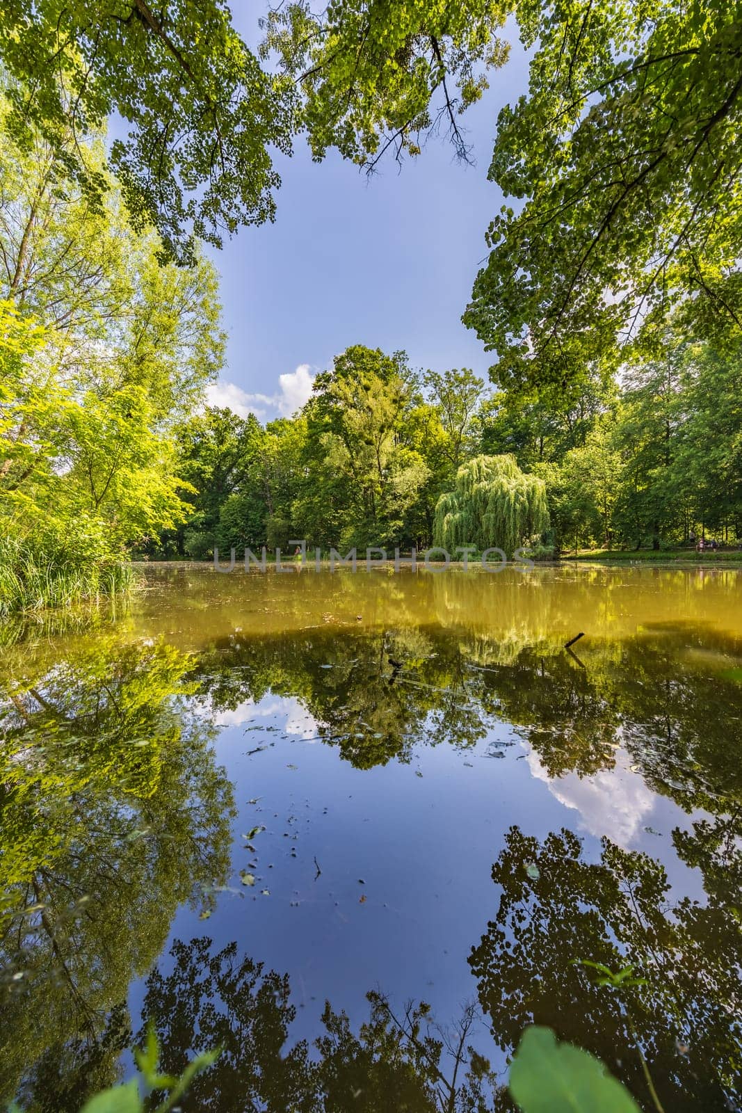 Beautiful and colorful park at sunny morning with blue sky with few clouds beautifully reflecting in big silent lake like in mirror