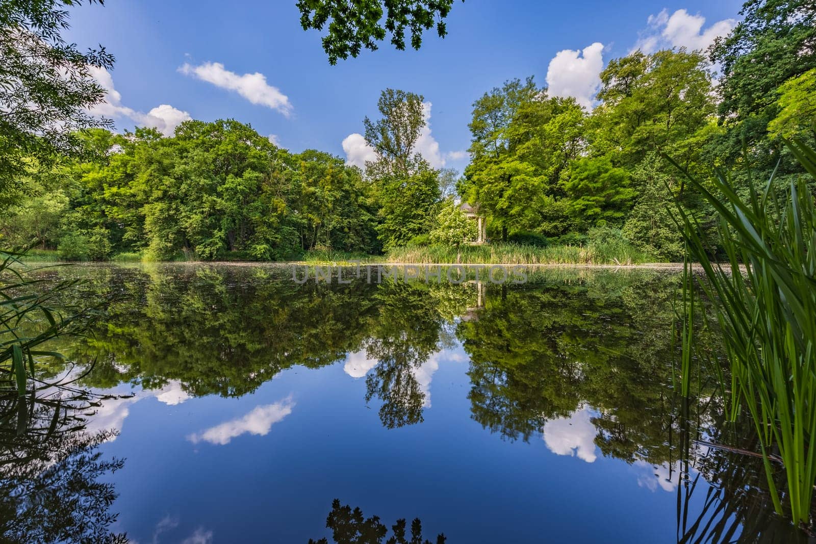 Beautiful and colorful park at sunny morning with blue sky with few clouds beautifully reflecting in big silent lake like in mirror by Wierzchu