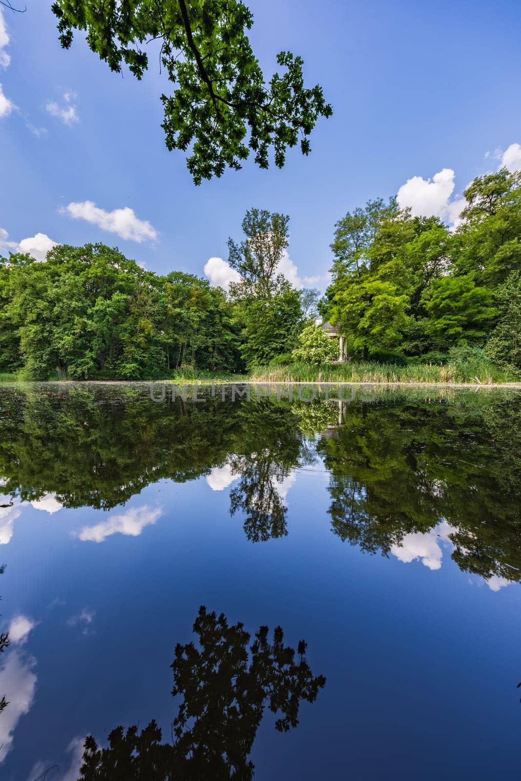 Beautiful and colorful park at sunny morning with blue sky with few clouds beautifully reflecting in big silent lake like in mirror