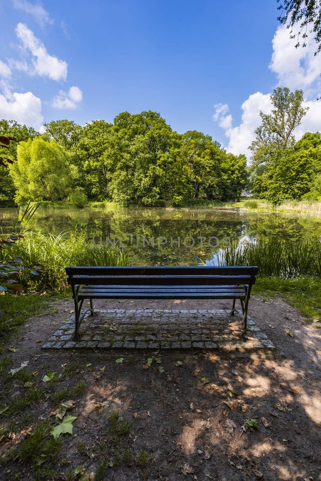 Old wooden bench in beautiful and colorful park at sunny morning with blue sky with few clouds beautifully reflecting in big silent lake like in mirror by Wierzchu