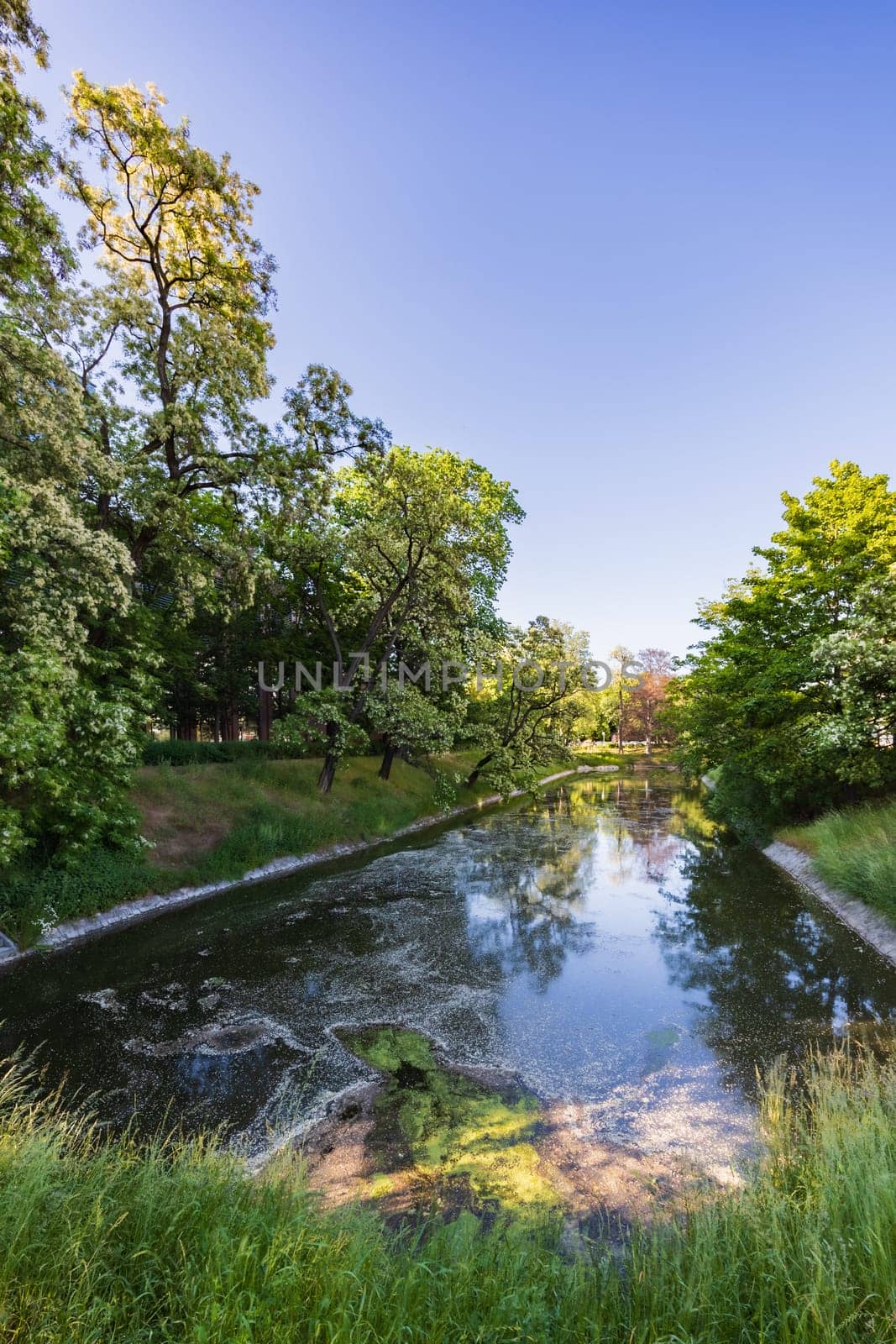 Beautiful park with dirty city moat with reflecting trees and sky on water surface at sunny day