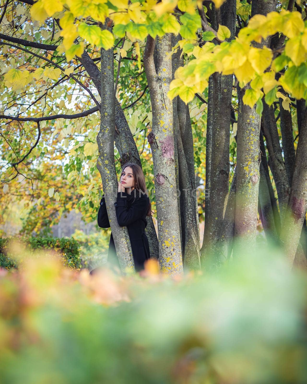A beautiful girl stands by a tree in an autumn park