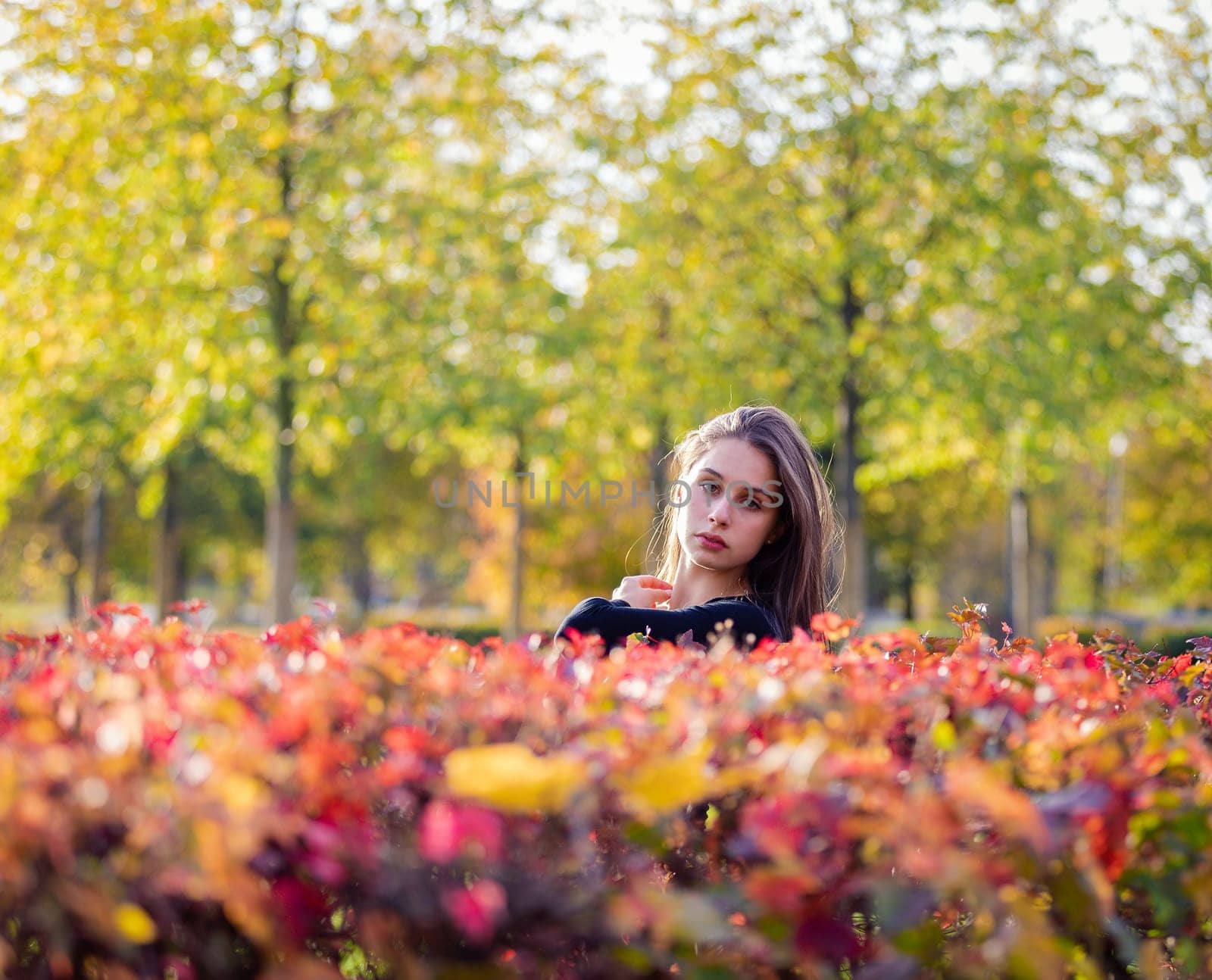 Portrait of a beautiful girl near a red-yellow bush in an autumn park