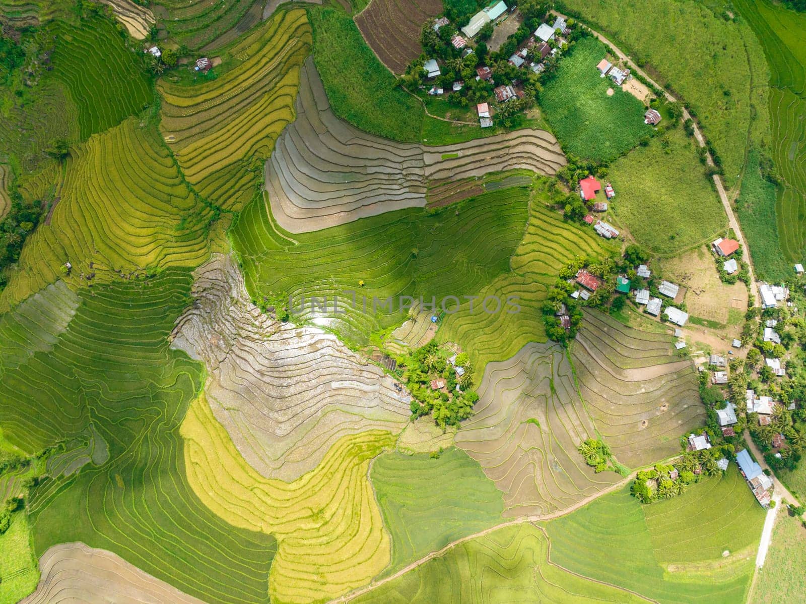 Farmland with rice terraces in the countryside. Negros, Philippines.