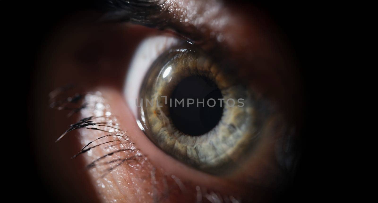 Female eye with eyelash macro photography, shadows. Scared woman look, close-up. Ophthalmology, green lens
