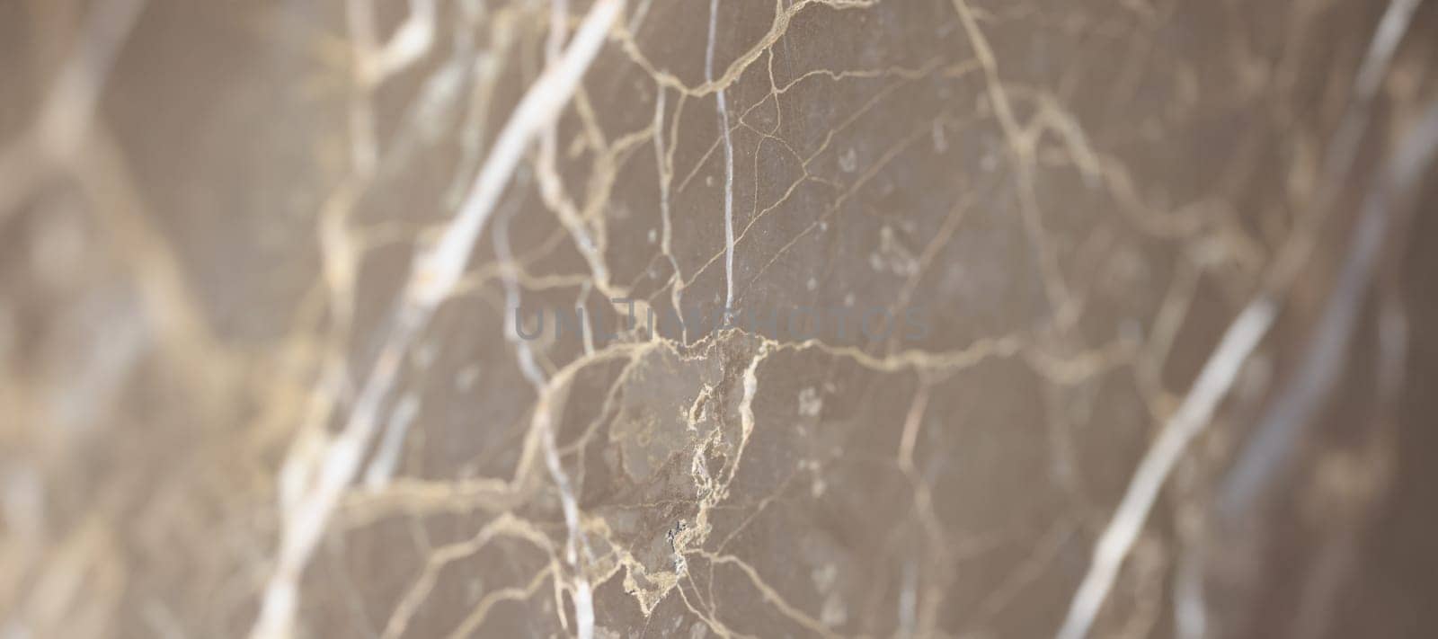 Macro shooting of a dry autumn leaf, veins on a gray background, close-up. White lines cobweb, natural texture, design element