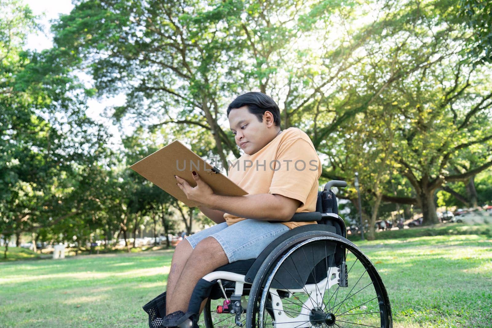 A young person in a wheelchair sketching in a sunny park, surrounded by vibrant green trees and grass.