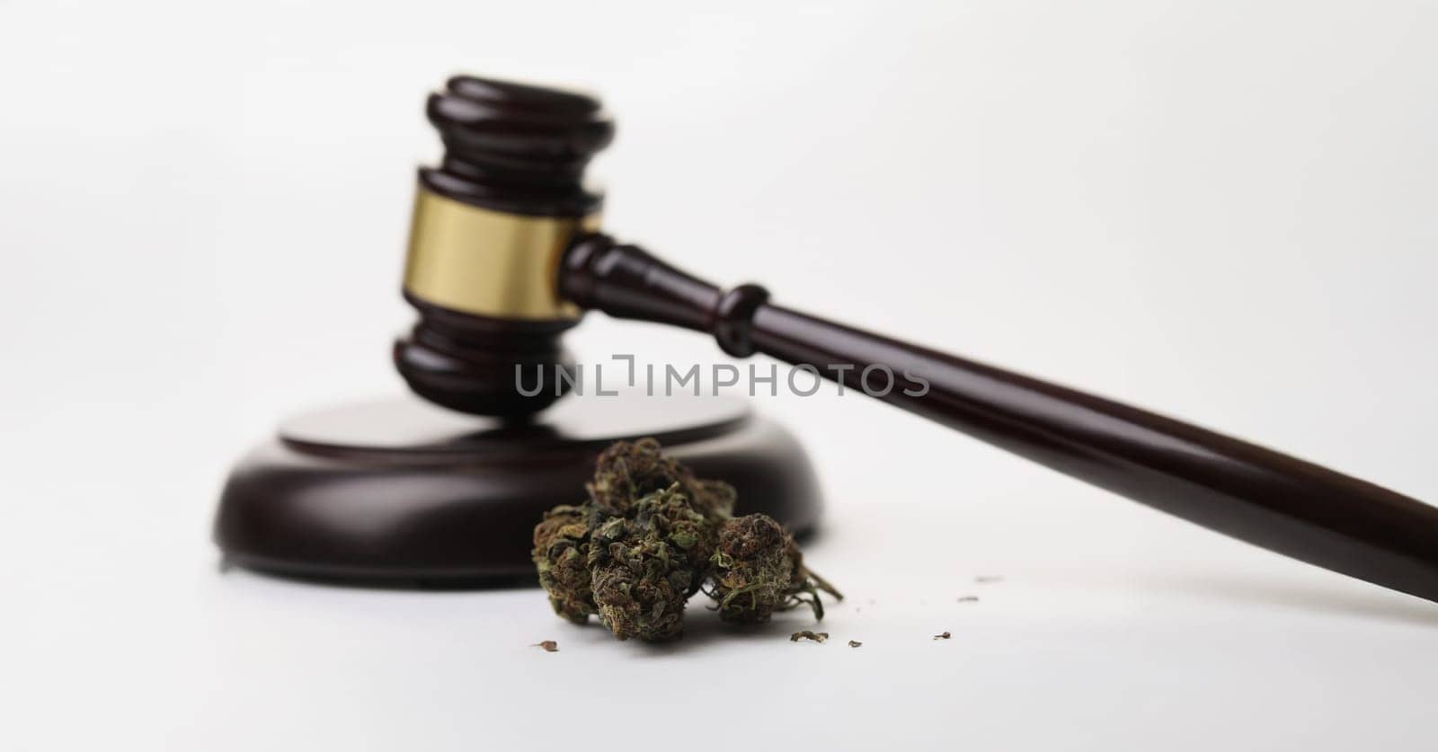 Close-up of cannabis herb buds and gavel as symbol of legalization of marijuana. Legal use of hemp in medicine, smoke for health. Cbd, herb, weed concept