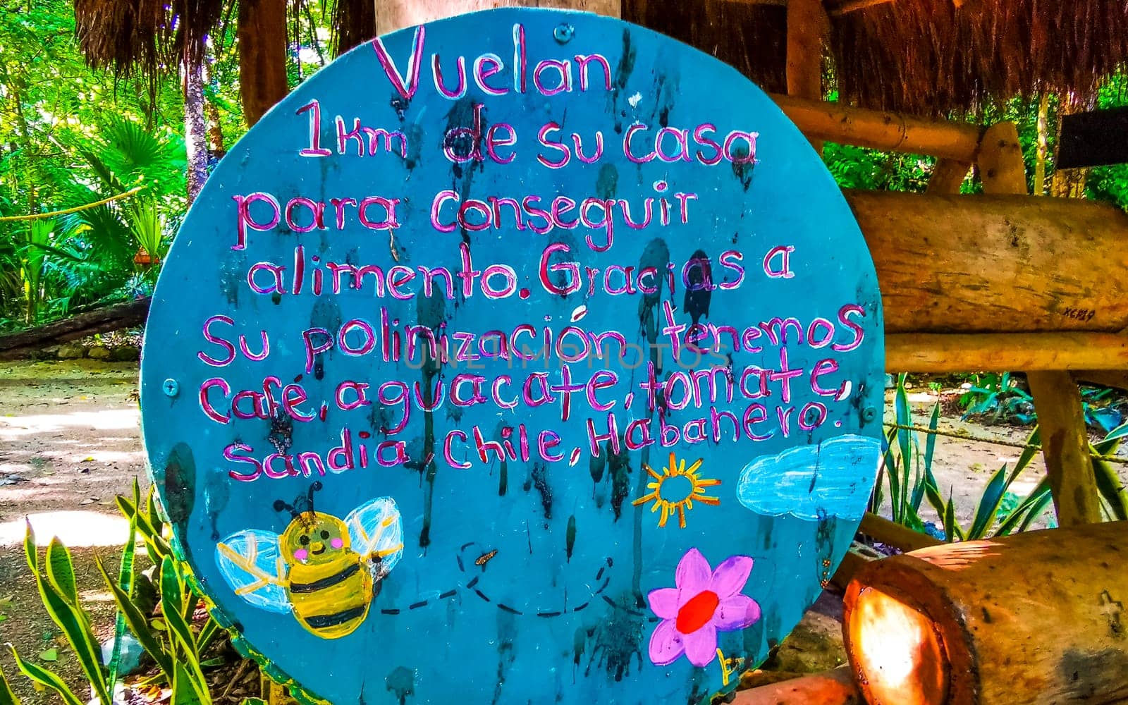Colorful park signs sign and information about melipona bee bees in Playa del Carmen Quintana Roo Mexico.