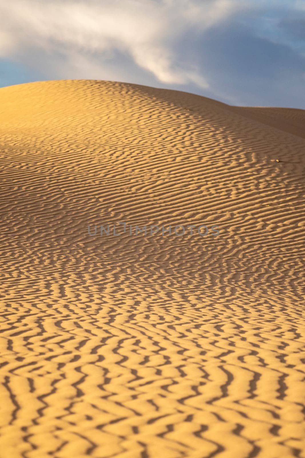 Portrait photo of sands in pattern over sand dunes, with the sun setting and casting shadows over the portrait image. Monahans sandhills, Texas