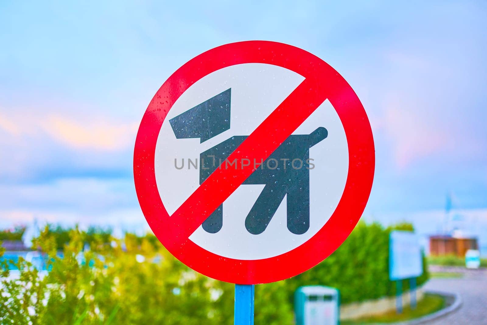 Dog prohibition sign. No Dogs Allowed In the Park Sign.