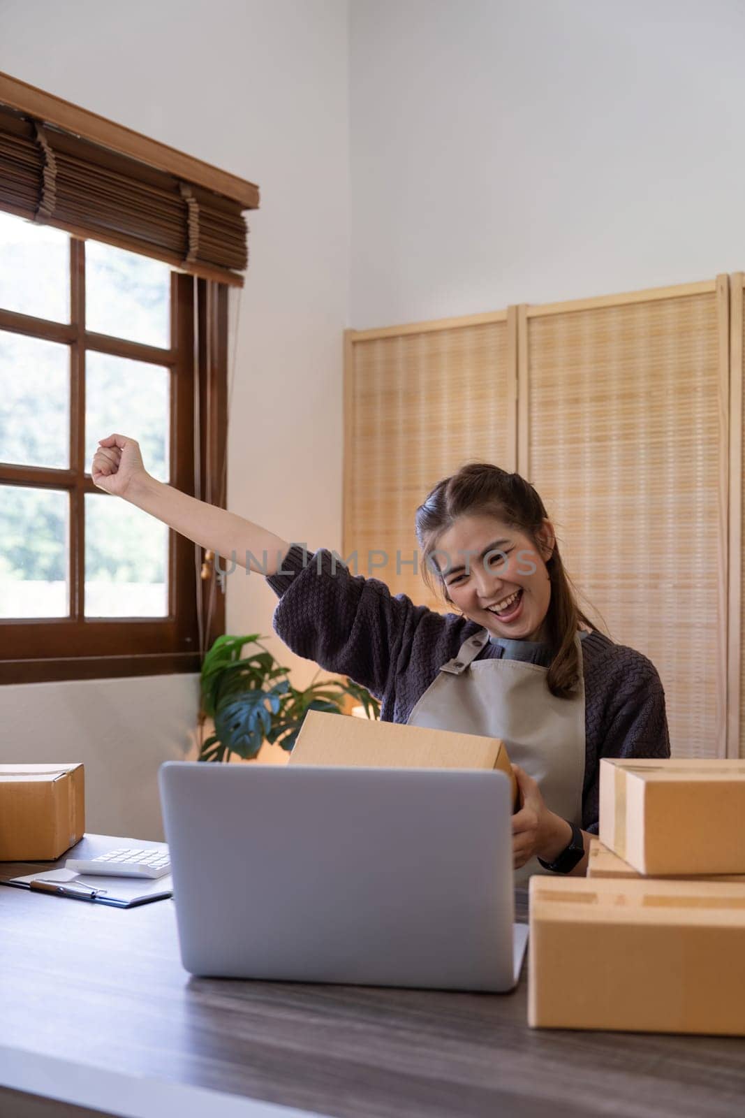 Asian women are achievement success with sale growth. Happy women selling product online with laptop. Successful and happy concept.