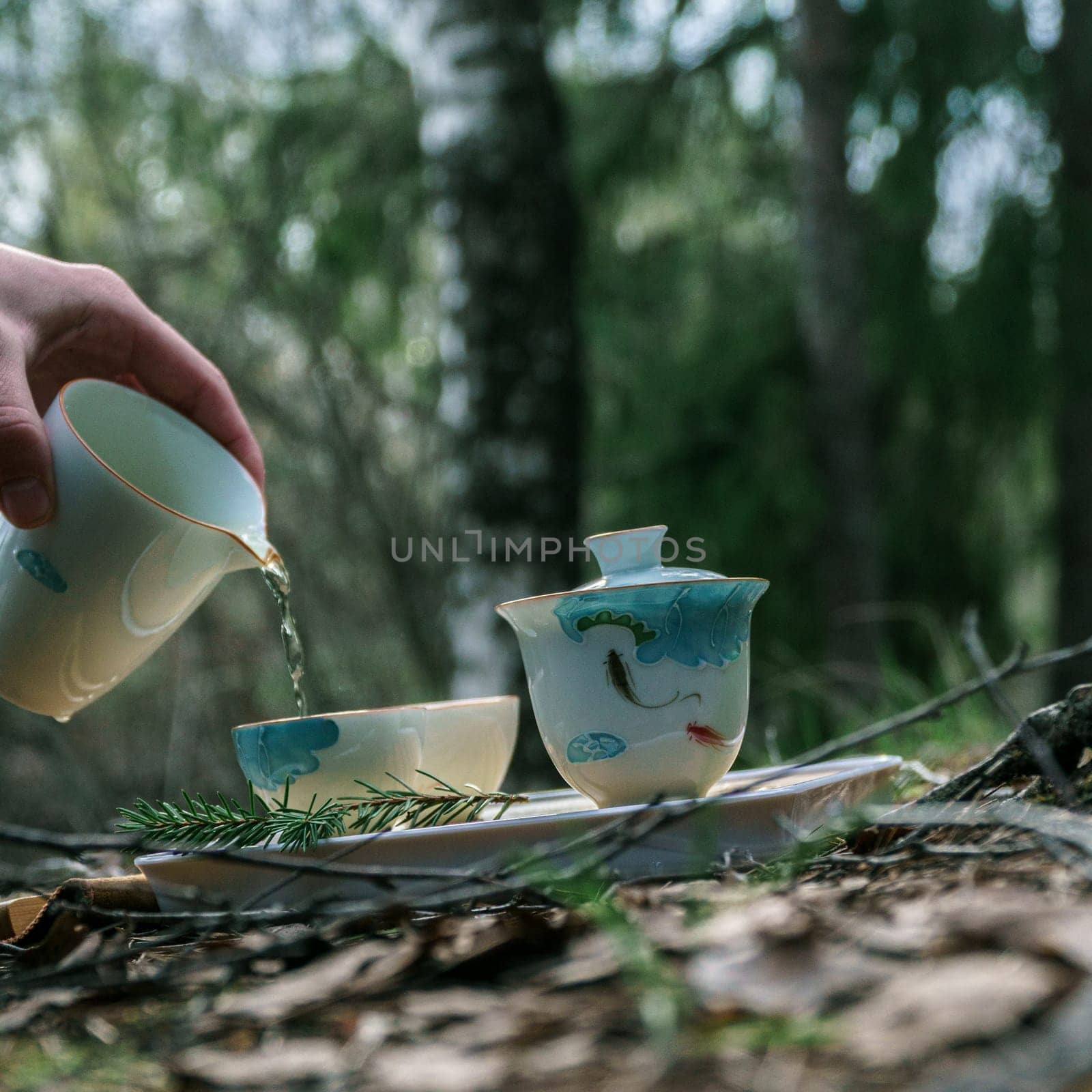 Enjoy a tranquil tea ceremony amidst natures beauty, featuring elegant and intricately designed porcelain