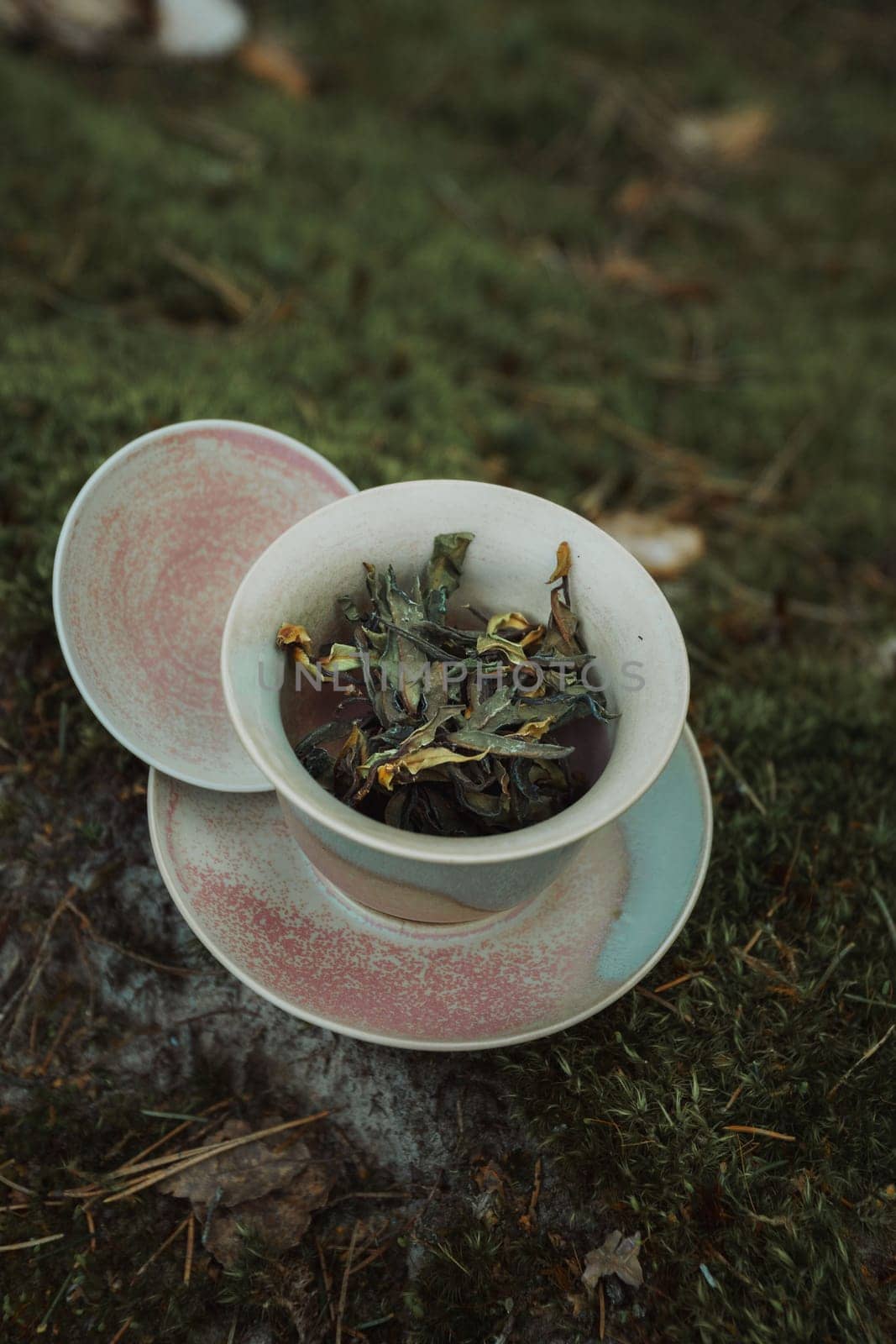 A serene bowl of fresh wild greens on patterned ceramics, set in a natural environment for perfect harmony