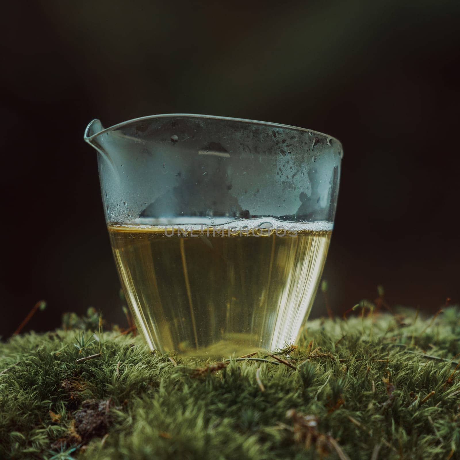 A tranquil, beautiful glass container filled with a vibrant golden liquid, resting peacefully on lush green moss