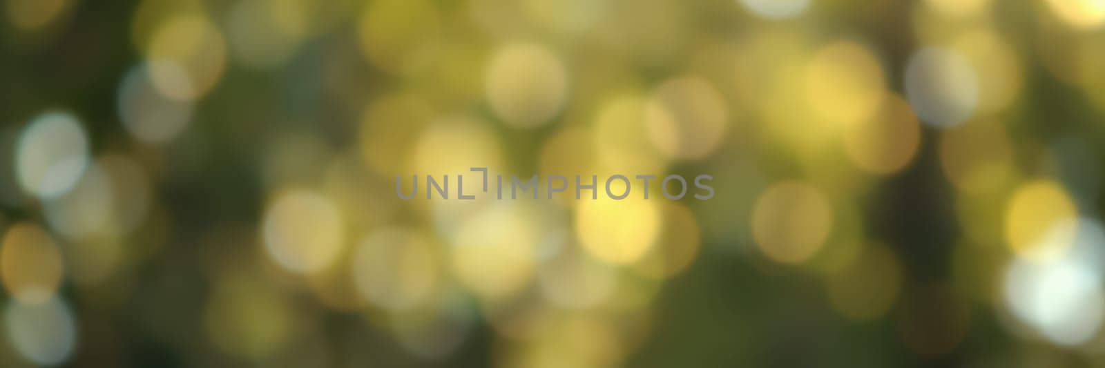 Beautiful golden and green bokeh lights fill the background, capturing the essence of sunlight filtering through vibrant leaves during a serene afternoon in nature.