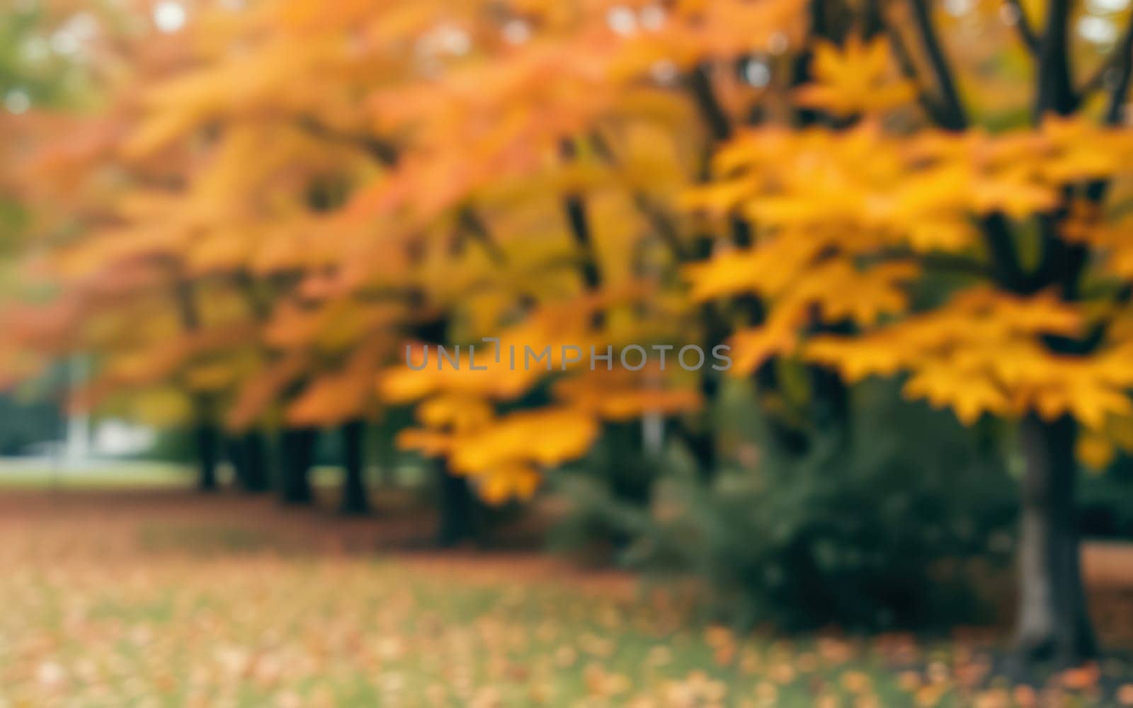 Fall colors paint the scenery with shades of orange and yellow as leaves blanket the ground in a serene park. Trees stand tall against a clear sky, enhancing the peaceful atmosphere.
