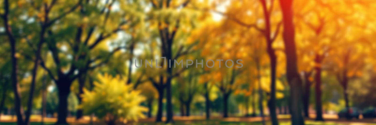 A peaceful park showcases vibrant autumn foliage where trees display a mix of yellows and oranges. Sunlight filters through branches, creating a warm atmosphere.