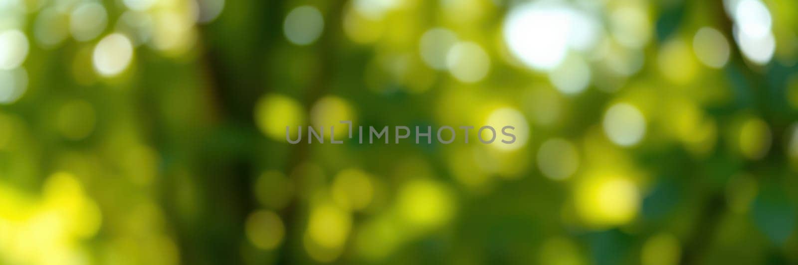 Soft, diffused light creates a serene bokeh effect with vibrant green tones. This setting invites peaceful thoughts and a connection to nature.