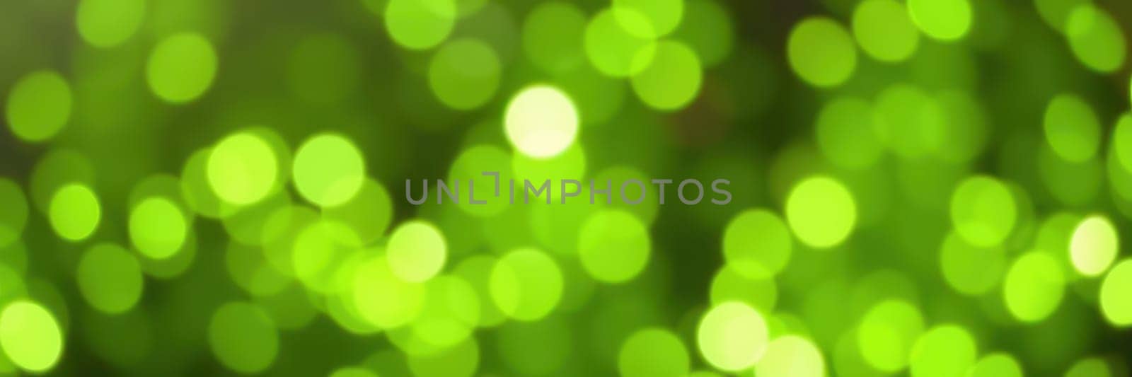 Bright green lights create a mesmerizing bokeh effect that fills the space with a lively and festive mood. The soft glow enhances any setting or celebration.