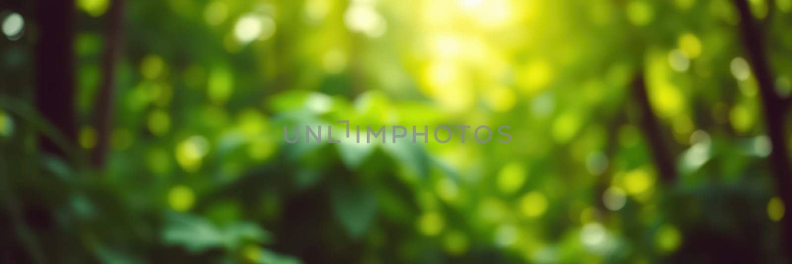 Sunlight filters through thick green leaves in a peaceful forest, illuminating the vibrant foliage and creating a serene, calming environment ideal for relaxation and nature lovers.