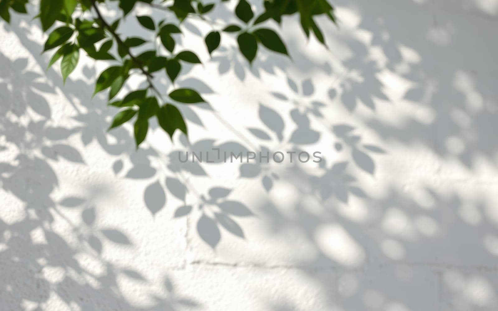 Sunlight filters through lush green leaves, casting intricate shadows on a plain white wall. This peaceful moment highlights nature's beauty in a serene atmosphere.