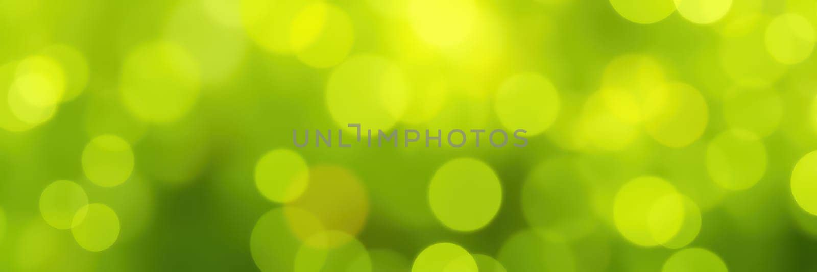 Soft green bokeh lights create a soothing atmosphere perfect for nature-themed artworks, events, or backgrounds. The vibrant colors harmonize beautifully and inspire creativity.