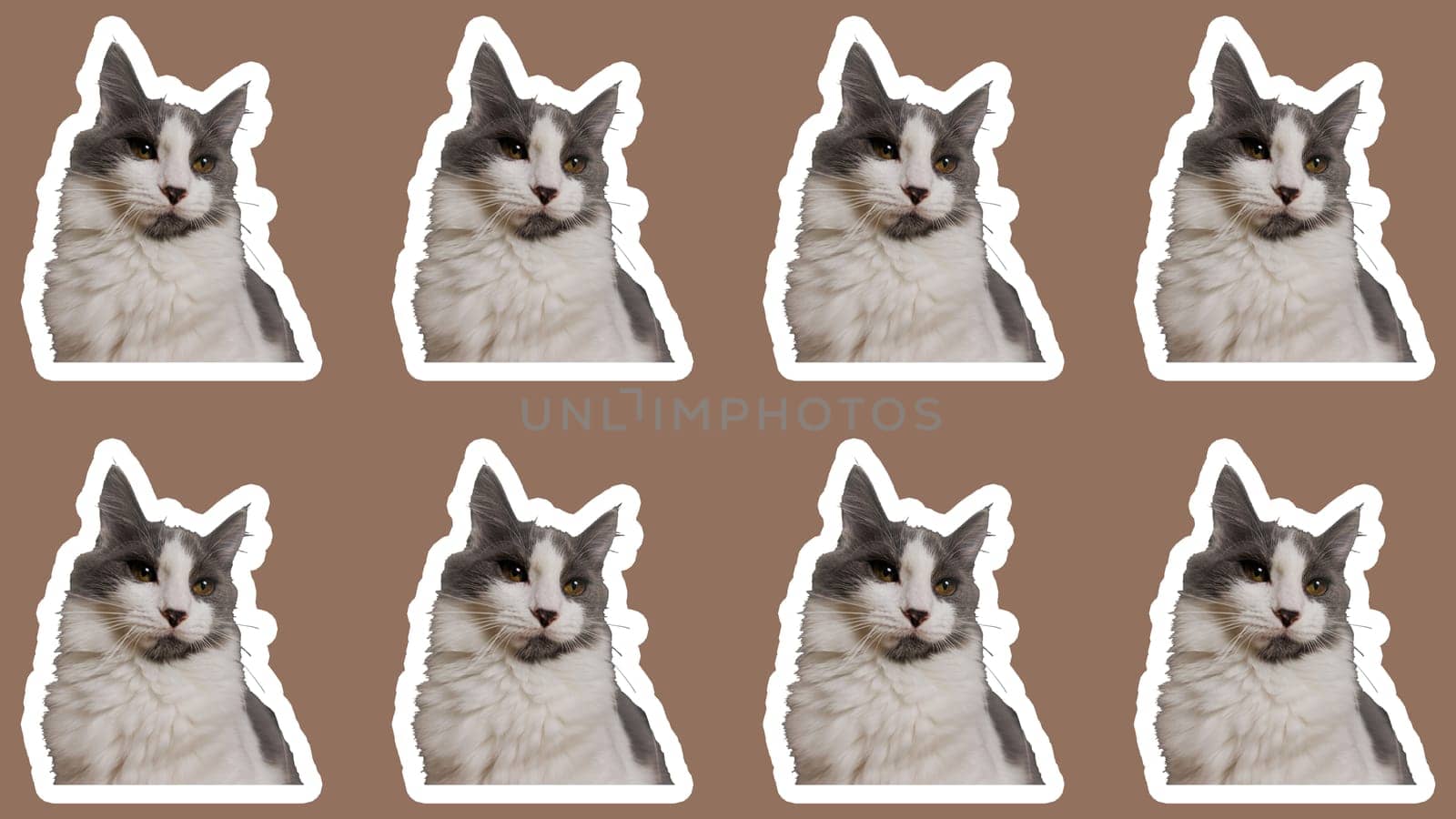 collage cat Funny cat's heads on Mocha Mousse background. Seamless repeating pattern. Digital collage.